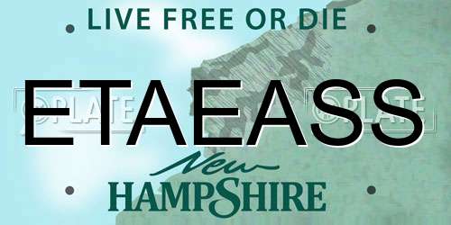 ETAEASS New Hampshire License Plate