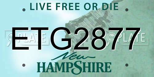 ETG2877 New Hampshire License Plate