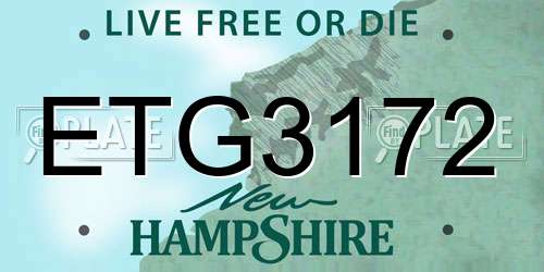 ETG3172 New Hampshire License Plate