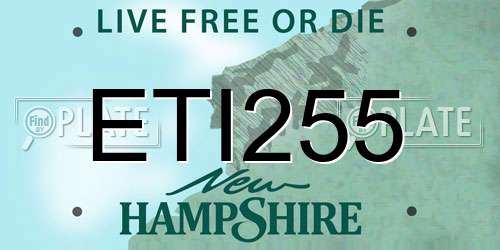 ETI255 New Hampshire License Plate