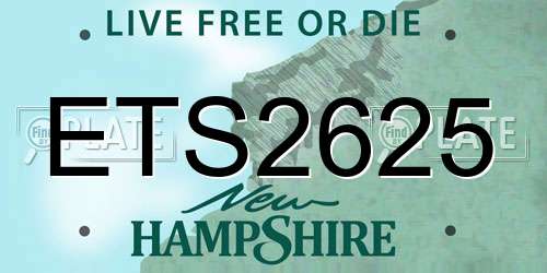 ETS2625 New Hampshire License Plate