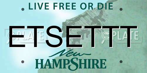 ETSETTT New Hampshire License Plate