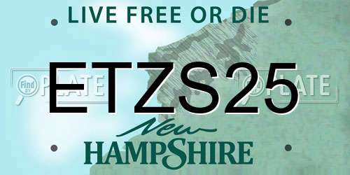 ETZS25 New Hampshire License Plate