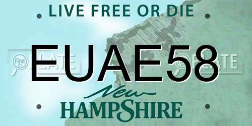 EUAE58 New Hampshire License Plate