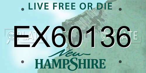 EX60136 New Hampshire License Plate