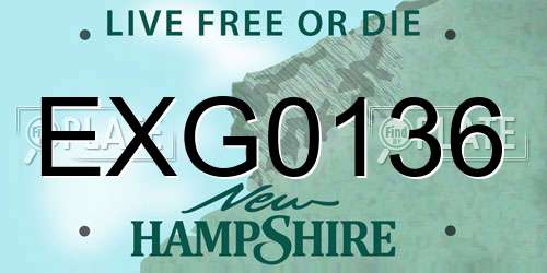 EXG0136 New Hampshire License Plate