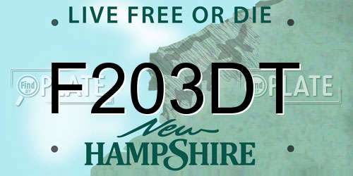 F203DT New Hampshire License Plate