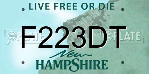 F223DT New Hampshire License Plate