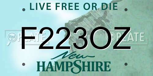 F223OZ New Hampshire License Plate