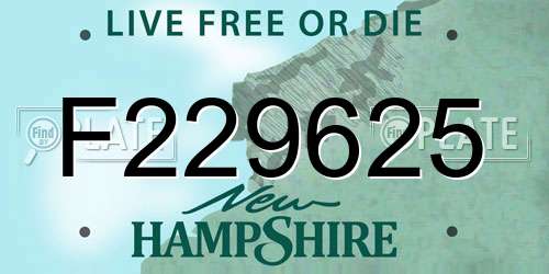 F229625 New Hampshire License Plate