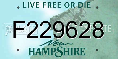 F229628 New Hampshire License Plate