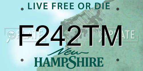 F242TM New Hampshire License Plate