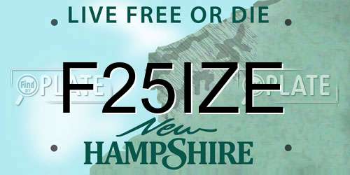F25IZE New Hampshire License Plate