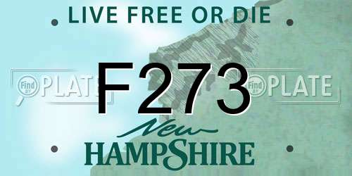 F273 New Hampshire License Plate