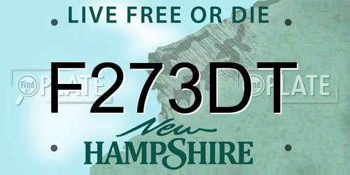 F273DT New Hampshire License Plate