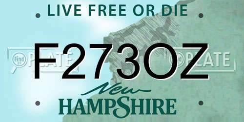F273OZ New Hampshire License Plate