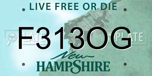 F313OG New Hampshire License Plate