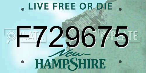 F729675 New Hampshire License Plate