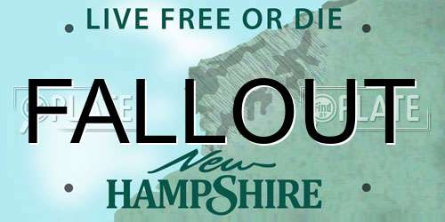 FALLOUT New Hampshire License Plate