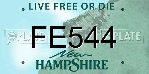 FE544 New Hampshire License Plate