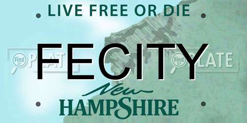 FECITY New Hampshire License Plate