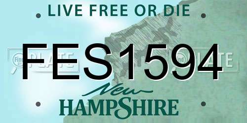 FES1594 New Hampshire License Plate