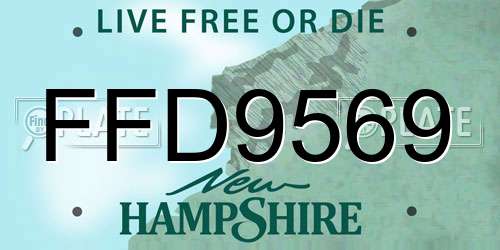 FFD9569 New Hampshire License Plate