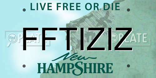 FFTIZIZ New Hampshire License Plate