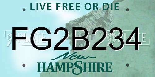FG2B234 New Hampshire License Plate