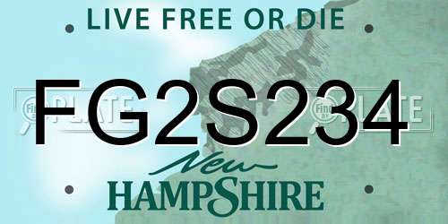 FG2S234 New Hampshire License Plate