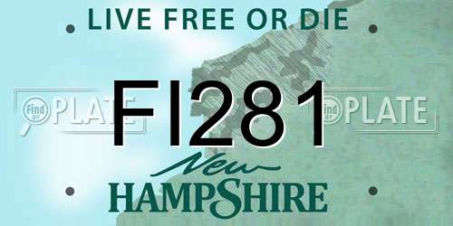 FI281 New Hampshire License Plate
