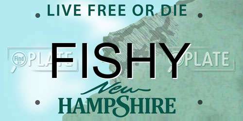 FISHY New Hampshire License Plate