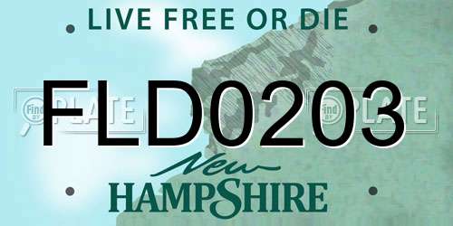 FLD0203 New Hampshire License Plate