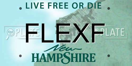FLEXF New Hampshire License Plate