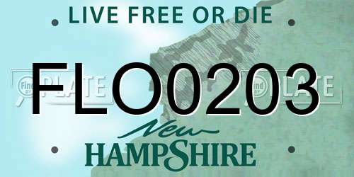 FLO0203 New Hampshire License Plate