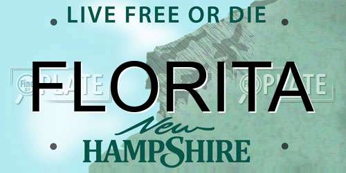 FLORITA New Hampshire License Plate