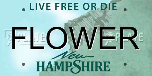 FLOWER New Hampshire License Plate