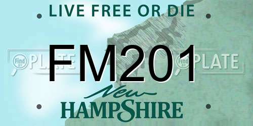 FM201 New Hampshire License Plate