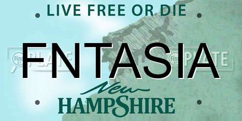 FNTASIA New Hampshire License Plate