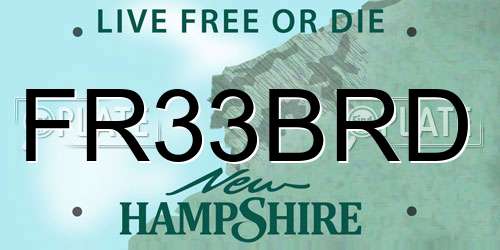 FR33BRD New Hampshire License Plate