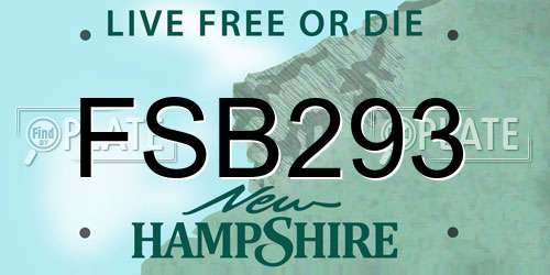 FSB293 New Hampshire License Plate