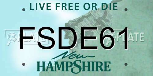 FSDE61 New Hampshire License Plate