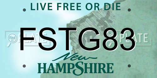 FSTG83 New Hampshire License Plate