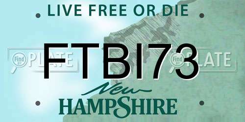 FTBI73 New Hampshire License Plate