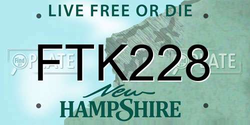 FTK228 New Hampshire License Plate