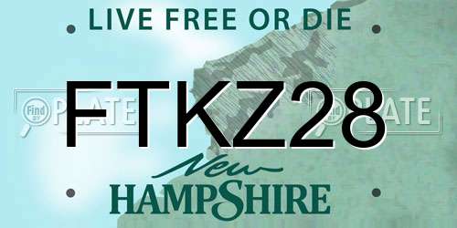 FTKZ28 New Hampshire License Plate