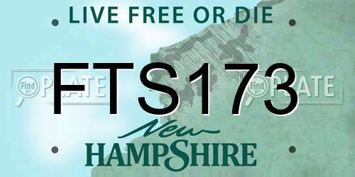 FTS173 New Hampshire License Plate