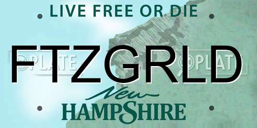 FTZGRLD New Hampshire License Plate