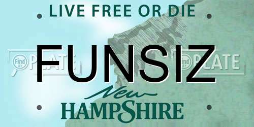 FUNSIZ New Hampshire License Plate
