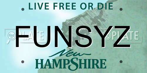FUNSYZ New Hampshire License Plate